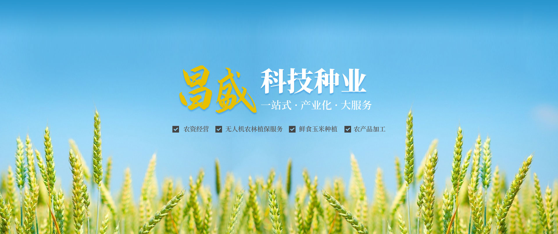滑縣昌盛科技種業(yè)有限公司