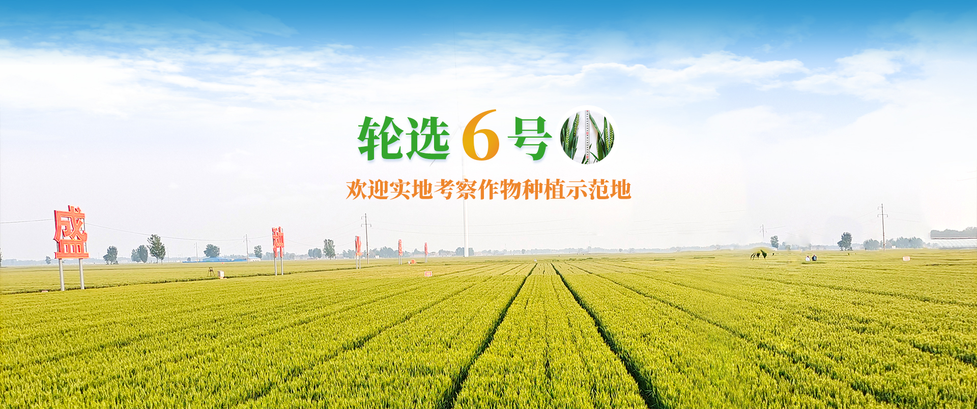滑縣昌盛科技種業(yè)有限公司