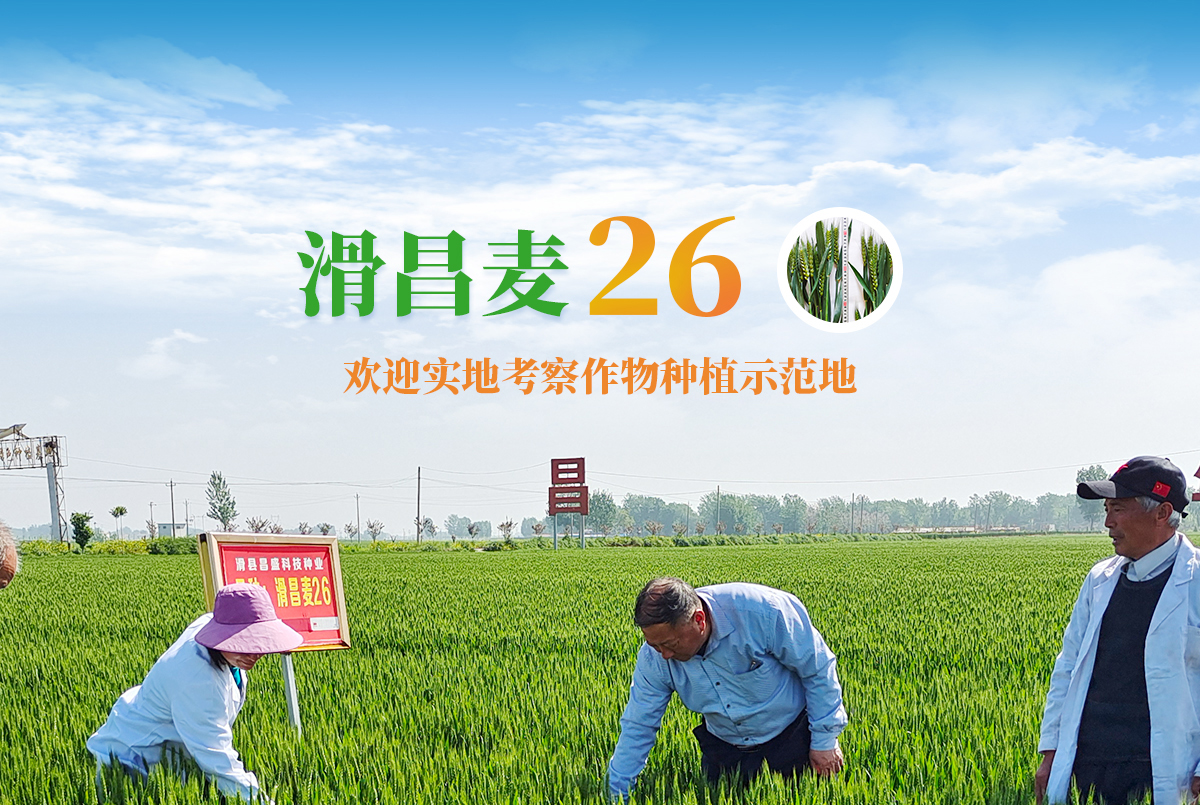 滑縣昌盛科技種業(yè)有限公司