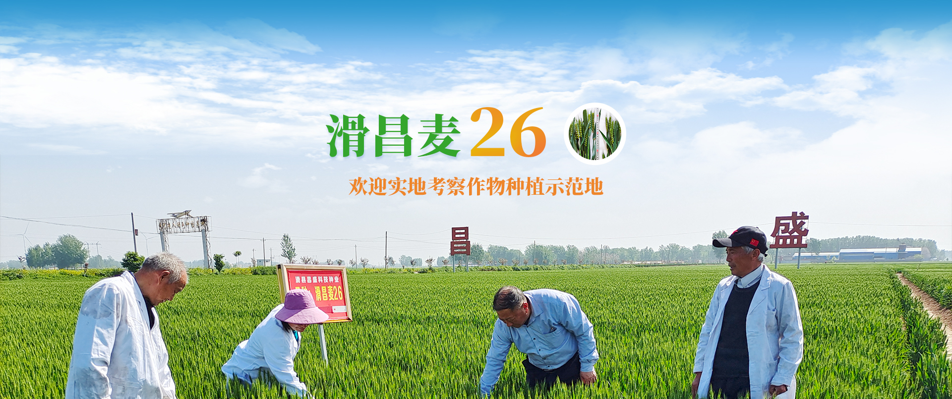 滑縣昌盛科技種業(yè)有限公司