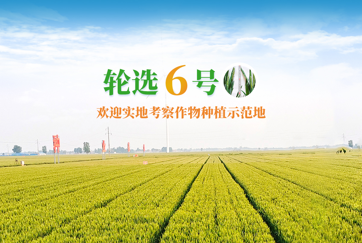 滑縣昌盛科技種業(yè)有限公司